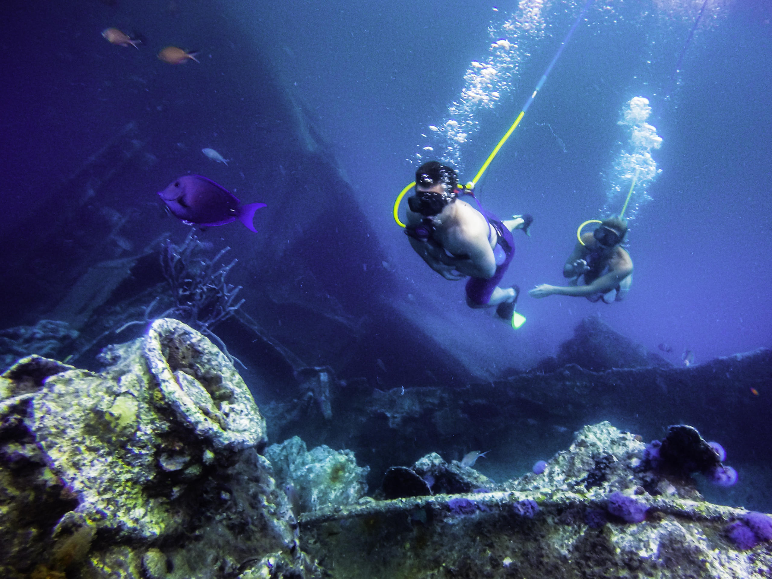 Two scuba divers exploring an underwater wreck with fish swimming around.